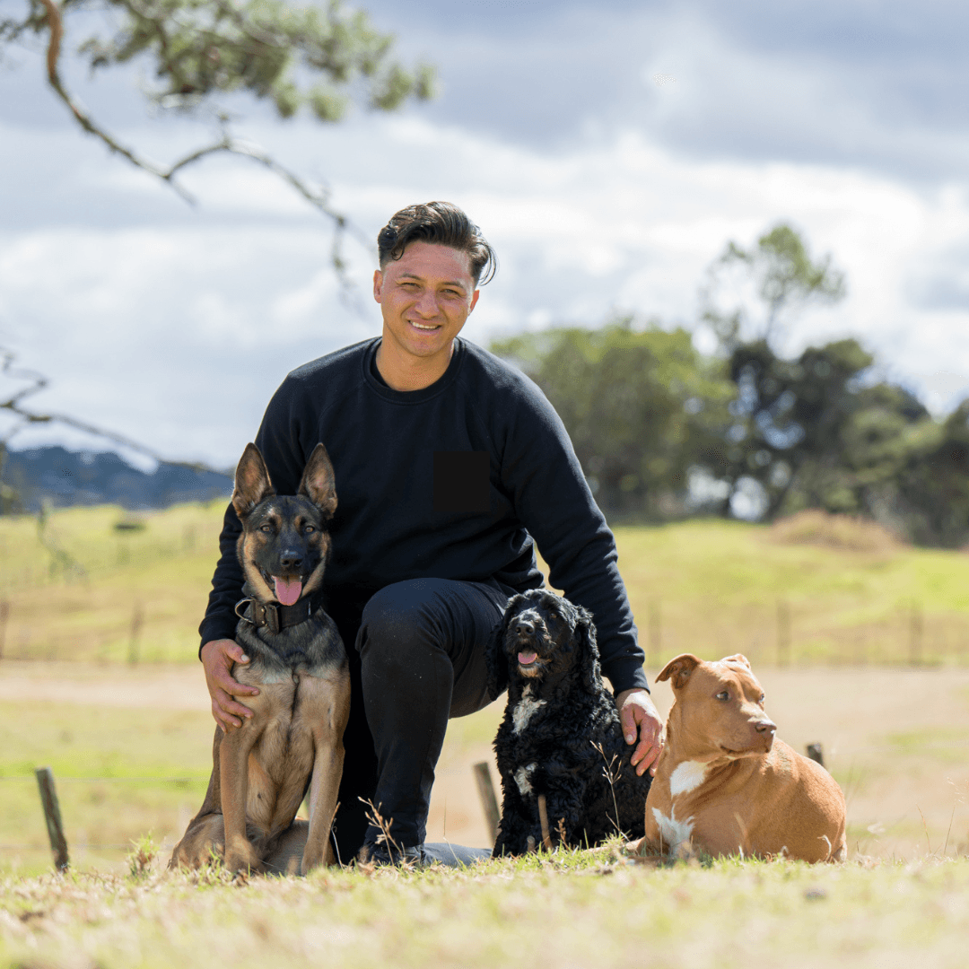Tane Hodgson, founder of Lumi, with his three dogs