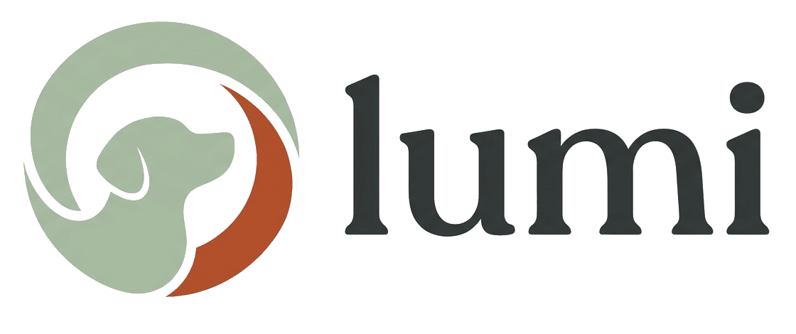 Lumi