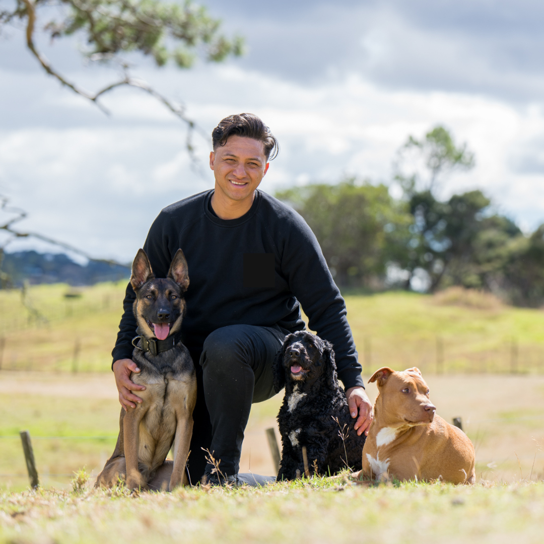 Tane Hodgson, founder of Lumi, with his three dogs
